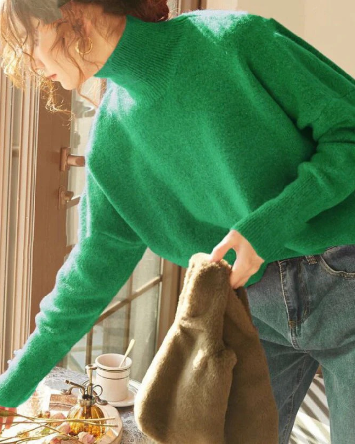 ASALIA - Casual Turtle Neck Long Sleeve Sweater